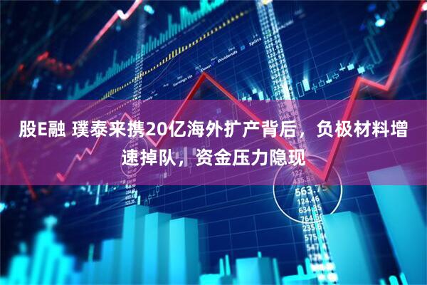 股E融 璞泰来携20亿海外扩产背后，负极材料增速掉队，资金压力隐现